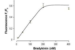 Kininogen 1 (KNG1) peptide