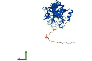 AlphaFold protein structure predicition of Mouse Recombinant Phyhipl Protein, UniprotID Q8BGT8