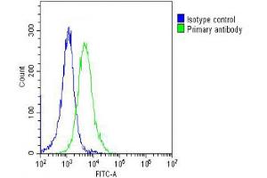Overlay histogram showing Hela cells stained with Antibody (green line). (PPIB 抗体  (AA 161-195))
