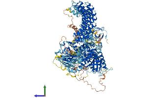 AlphaFold protein structure predicition of Mouse Recombinant Dapk1 Protein, UniprotID Q80YE7 (DAP Kinase 1 Protein (AA 1-1442) (His tag))