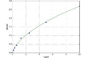 Catenin (Cadherin-Associated Protein), delta 1 (CTNND1) ELISA Kit