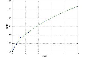 A typical standard curve (CTNND1 ELISA 试剂盒)