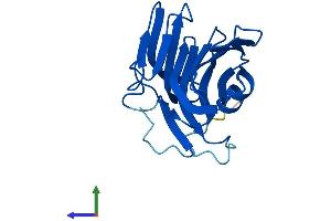 AlphaFold protein structure predicition of Human Recombinant CFAP20 Protein, UniprotID Q9Y6A4