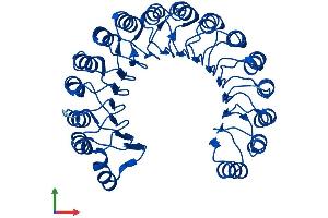 Protein Structure (PS) image for Ribonuclease/angiogenin Inhibitor 1 (RNH1) (AA 1-456) protein (His tag) (ABIN7559990)