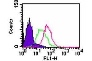 Intracellular flow analysis of Tlr3 in Balb/c mouse splenocytes. (TLR3 抗体  (AA 135-150))