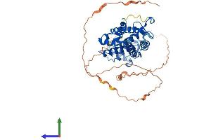Protein Structure (PS) image for Hepatocyte Nuclear Factor 4, alpha (HNF4A) (AA 1-474) protein (His tag) (ABIN7548366)