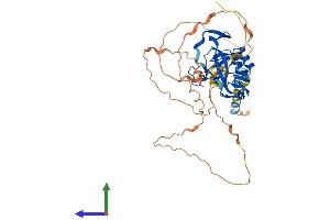 AlphaFold protein structure predicition of Human Recombinant TBX6 Protein, UniprotID O95947