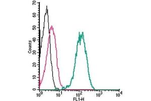 Flow Cytometry (FACS) image for anti-Cannabinoid Receptor 1 (CNR1) (AA 84-99), (Extracellular) antibody (ABIN7043023)