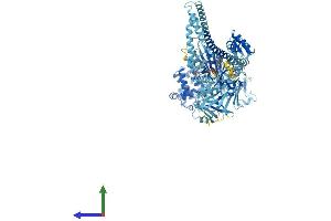 AlphaFold protein structure predicition of Mouse Recombinant Myo1c Protein, UniprotID Q9WTI7