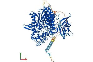 Protein Structure (PS) image for N-Acylsphingosine Amidohydrolase (Non-Lysosomal Ceramidase) 2 (ASAH2) (AA 1-756) protein (His tag) (ABIN7565075)