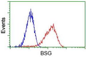 Image no. 4 for anti-Basigin (Ok Blood Group) (BSG) antibody (ABIN1498013) (CD147 抗体)
