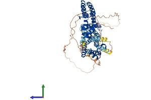 AlphaFold protein structure predicition of Mouse Recombinant Kcna6 Protein, UniprotID Q61923