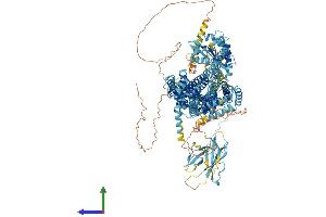 Protein Structure (PS) image for Patched Domain Containing 2 (PTCHD2) (AA 1-1347) protein (His tag) (ABIN7561986)