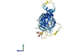 Protein Structure (PS) image for Leucine Rich Repeat Containing 28 (LRRC28) (AA 1-367) protein (His tag) (ABIN7557099)