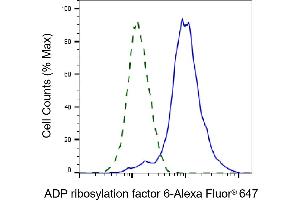 Validation of ADP ribosylation factor 6 knockdown using flow cytometry.