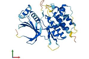 Protein Structure (PS) image for PDLIM1 Interacting Kinase 1 Like (PDIK1L) (AA 1-341) protein (His tag) (ABIN7559595)