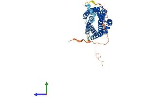 AlphaFold protein structure predicition of Human Recombinant P2RY4 Protein, UniprotID P51582