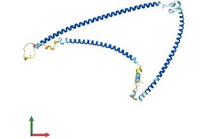 Protein Structure (PS) image for RIB43A Domain with Coiled-Coils 1 (RIBC1) (AA 1-379) protein (His tag) (ABIN7551385)