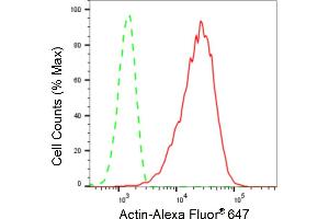 Flow cytometric analysis of Actin expression in C2C12 cells using Actin antibody (ABIN7797458), 1:2,000). (Recombinant Actin 抗体)