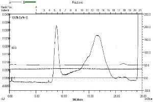 Size-exclusion chromatography-High Pressure Liquid Chromatography (SEC-HPLC) image for Wilms Tumor 1 (WT1) (AA 1-449) protein (Strep Tag) (ABIN3075507) (WT1 Protein (AA 1-449) (Strep Tag))