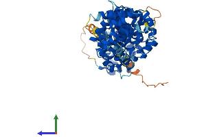 AlphaFold protein structure predicition of Human Recombinant TMCO6 Protein, UniprotID Q96DC7 (TMCO6 Protein (AA 1-493) (His tag))