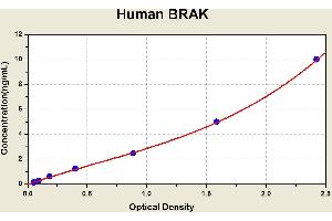 Diagramm of the ELISA kit to detect Human BRAKwith the optical density on the x-axis and the concentration on the y-axis. (CXCL14 ELISA 试剂盒)