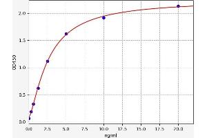 Typical standard curve (SMAD7 ELISA 试剂盒)