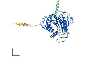 Protein Structure (PS) image for Galactose-1-Phosphate Uridylyltransferase (GALT) (AA 1-379) protein (His tag) (ABIN7556875)