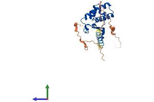 Protein Structure (PS) image for BTG Family, Member 3 (BTG3) (AA 1-252) protein (His tag) (ABIN7552818)