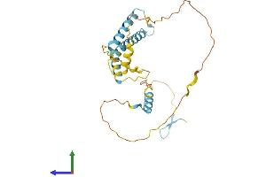 Protein Structure (PS) image for OCIA Domain Containing 1 (OCIAD1) (AA 1-247) protein (His tag) (ABIN7560636)