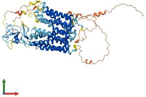 Protein Structure (PS) image for Solute Carrier Organic Anion Transporter Family, Member 3A1 (SLCO3A1) (AA 1-710) protein (His tag) (ABIN7559740)