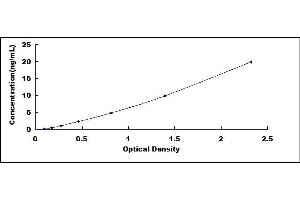 Typical standard curve (SMOX ELISA 试剂盒)