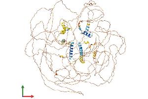 Protein Structure (PS) image for B-Cell CLL/lymphoma 9 (BCL9) (AA 1-1426) protein (His tag) (ABIN7552529)