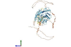 Protein Structure (PS) image for Zinc Finger and BTB Domain Containing 48 (ZBTB48) (AA 1-688) protein (His tag) (ABIN7545719)