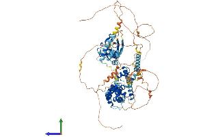 AlphaFold protein structure predicition of Mouse Recombinant Satb1 Protein, UniprotID Q60611
