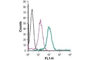 Cell surface detection of GLP1R in live intact human THP-1 monocytic leukemia cells: (black line) Cells. (GLP1R 抗体  (Extracellular) (FITC))