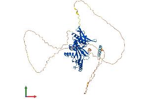 AlphaFold protein structure predicition of Mouse Recombinant Syn3 Protein, UniprotID Q8JZP2