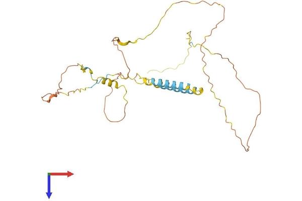 BSND Protein (AA 1-320) (His tag)