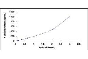 Typical standard curve (Annexin a10 ELISA 试剂盒)