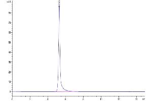 The purity of Human TNFR2 is greater than 95 % as determined by SEC-HPLC. (TNFRSF1B Protein (mFc Tag))