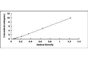 Typical standard curve (Asprosin ELISA 试剂盒)