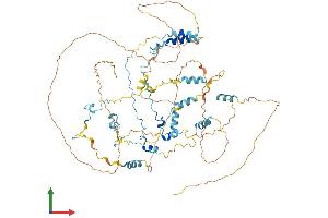 Protein Structure (PS) image for Calpastatin (CAST) (AA 1-708) protein (His tag) (ABIN7548470)