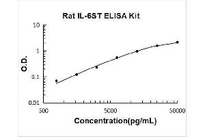Typical Standard Curve