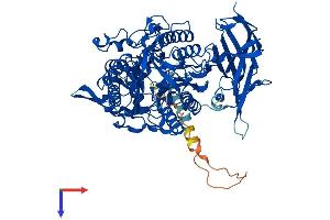 ASAH2 Protein (AA 1-756) (His tag)