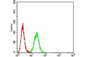 Flow cytometric analysis of Hela cells using AXIN1 mouse mAb (green) and negative control (red). (Axin 抗体  (AA 546-752))