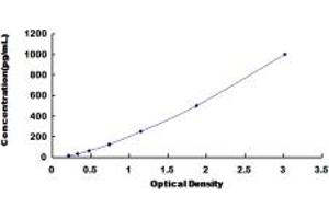 Typical standard curve (Reelin ELISA 试剂盒)