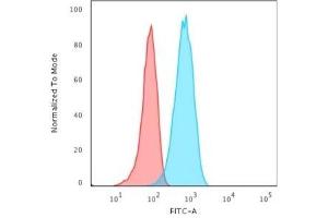 Flow Cytometric Analysis of Raji cells. (CD19 抗体)