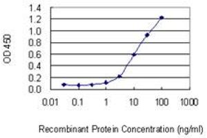 Detection limit for recombinant GST tagged UBE2DNL is 0. (UBE2DNL 抗体  (AA 1-75))
