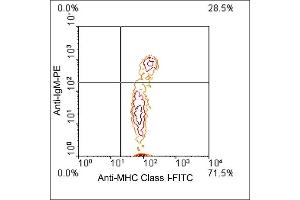 Flow Cytometry (FACS) image for anti-MHC, Class I antibody (FITC) (ABIN371395) (MHC, Class I 抗体  (FITC))