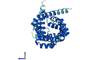 Protein Structure (PS) image for Solute Carrier Family 25 (Mitochondrial Carrier, Adenine Nucleotide Translocator), Member 6 (SLC25A6) (AA 1-298) protein (His tag) (ABIN7551956)